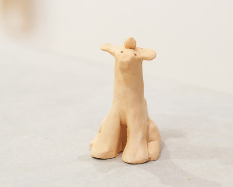 Sculpt Your Own Pet