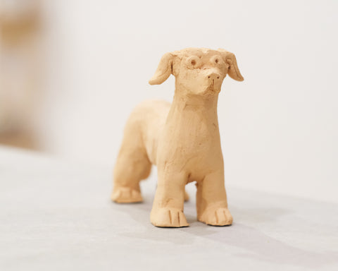 Sculpt Your Own Pet